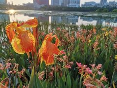 -南宁南湖公园