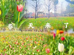 -大宁公园