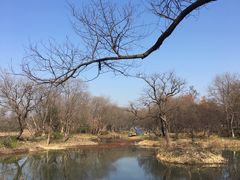 -西溪国家湿地公园