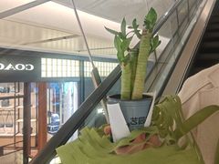 -鹿岛生活(熙地港店)