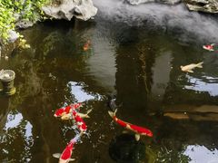 -鲤院·新中式美学·庭院餐厅(夫子庙店)