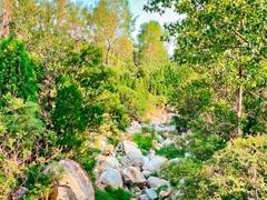 -禅宗少林·音乐大典