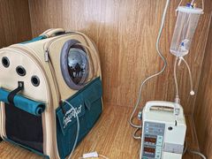 -美联众合动物医院·24h京西诊疗中心