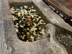 -和院老火锅铜锅烧烤海鲜(朱雀大街店)