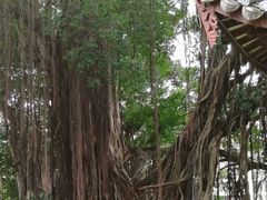 -乌山风景区
