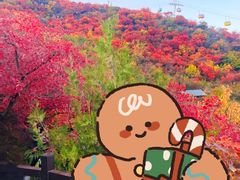 -周口店坡峰岭风景区