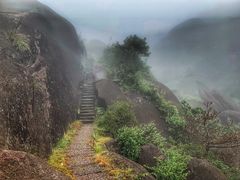 -玉苍山国家森林公园
