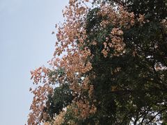 -秦始皇帝陵博物院-丽山园