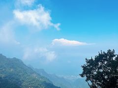 -少华山国家森林公园