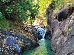 -广州白江湖森林公园