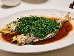 -柴门·头啖汤(天安千树店)