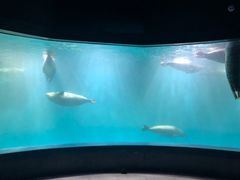 -青岛海底世界-水族馆