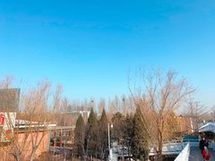 -大兴滨河森林公园