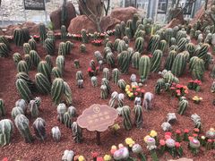 -南通洲际绿博园