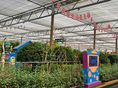 -南宫五洲植物乐园