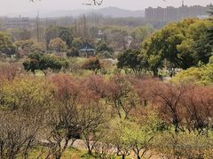 -无锡梅园公园