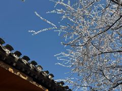 -春风习习