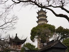 -苏州上方山国家森林公园