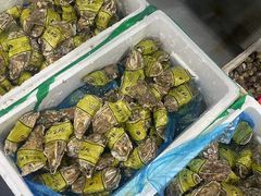 -众彩物流水产市场