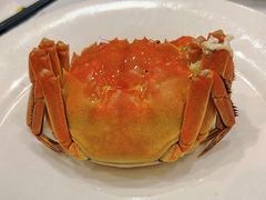 大闸蟹-新雅粤菜馆(南京东路店)