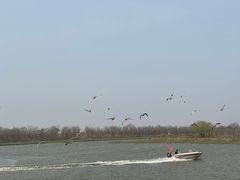 -南大港湿地风景区