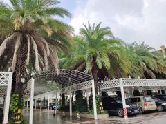 -富豪海鲜酒家(常平店)