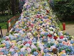 -上海共青森林公园