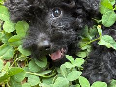 -卤儿道道(龙游路店)