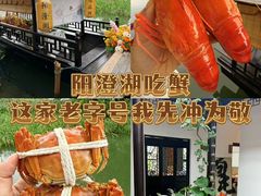 -品鲜村农家菜·阳澄湖大闸蟹(总店)
