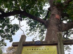 -福建鲤鱼洲酒店