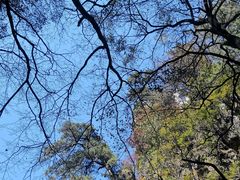 -塔云山