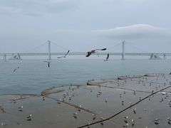-星海广场
