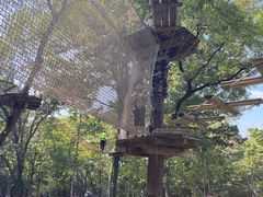 -WeLope紫金山探险公园