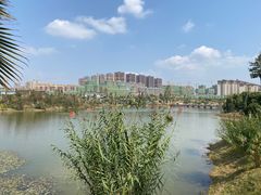 -枫香湖儿童公园