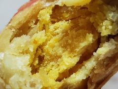 蛋黄鲜肉月饼-真老大房鲜肉月饼(南京路步行街店)