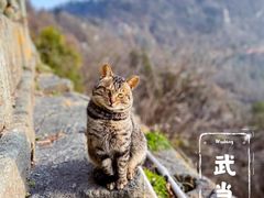 -武当山风景区