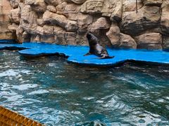 -华夏文旅海洋公园