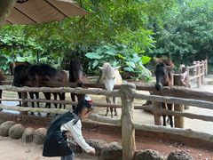 -海南热带野生动植物园