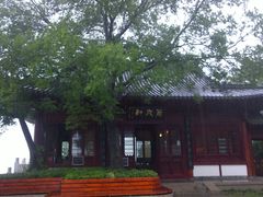 -伯先公园