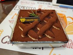 -喜马拉雅森HIMALAYAN FOREST
