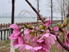 -艾溪湖湿地公园