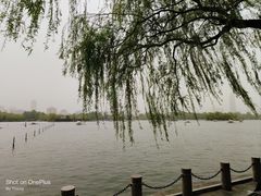 -济南大明湖景区