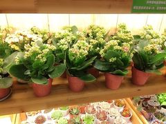 妃比花艺-妃比花艺(光启城时尚购物中心店)