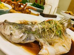 清蒸鲈鱼-YAFEE雅菲·粤菜·湘菜·融合菜(魏公村店)