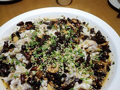 -三猫黑鱼花(南大店)