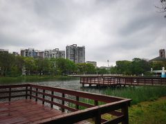 -新江湾城公园