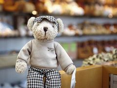 -济州岛泰迪熊博物馆