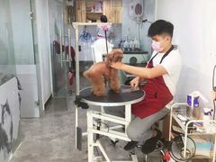 -有宠宠物(YOUCOIN·未来店)