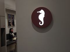 -海马体大师店(广州天汇广场IGC大师店)
