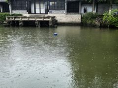 -水绘园